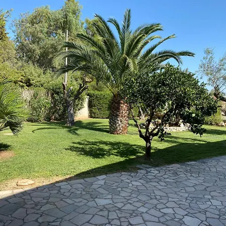 Forester * Monteroni di Lecce