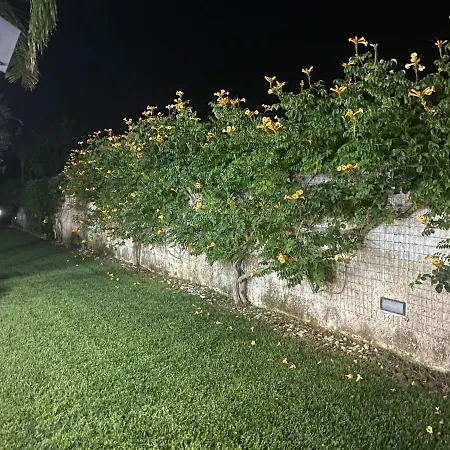Vila Forester Monteroni di Lecce